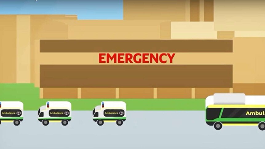 ambulances and ambulance bus graphic.