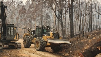Front-end loader clearing trees in fire damaged forests in East Gippsland.