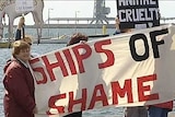 Protesters on the dock at Portland protest against a sheep shipment. (File photo)