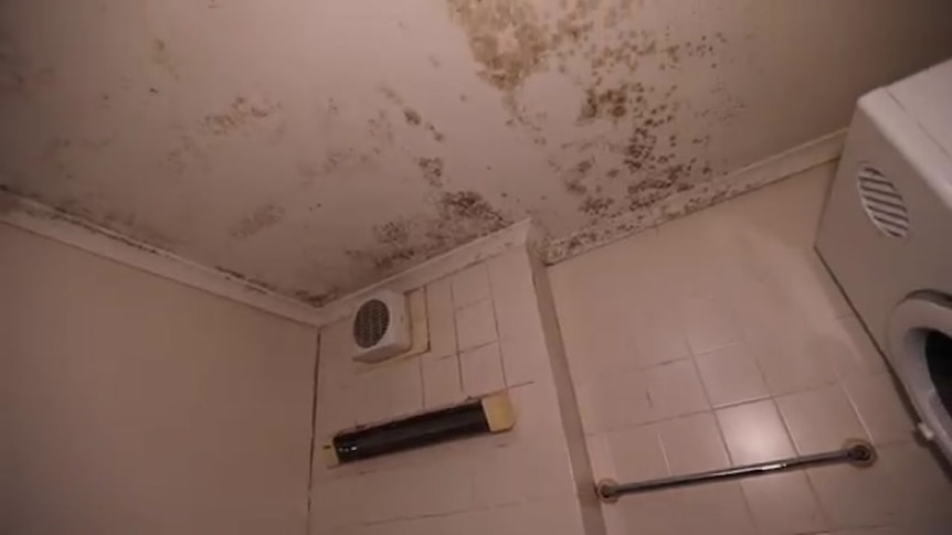 Mouldy bathroom roof with old light, fan, towel rack and dryer also visible.