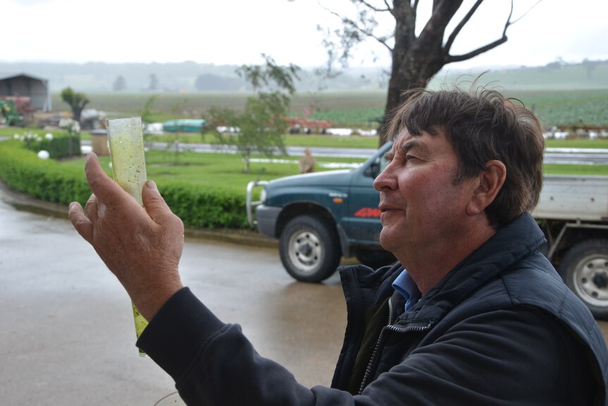 A farmer in front of crops checking his rain gauge