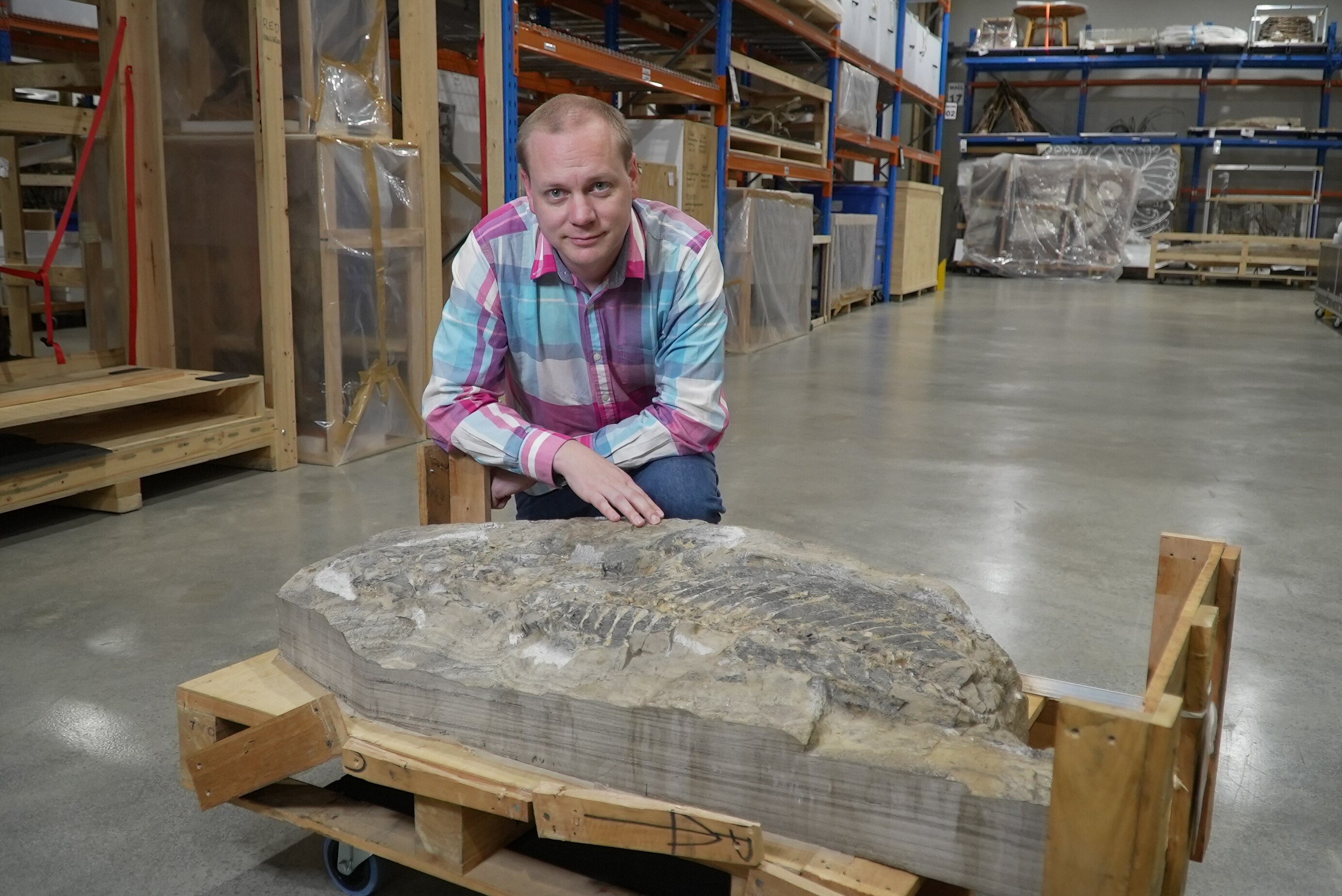 A man wearing a pink and blue shit in a warehouse looking into the camera while kneeling behind a big fossil