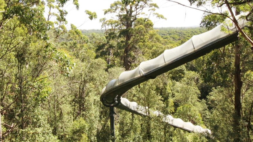  A covered slide for tourists in a green forest