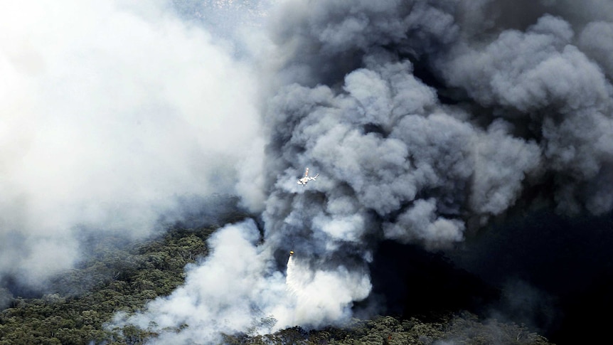 A helicopter drops water on a bushire.