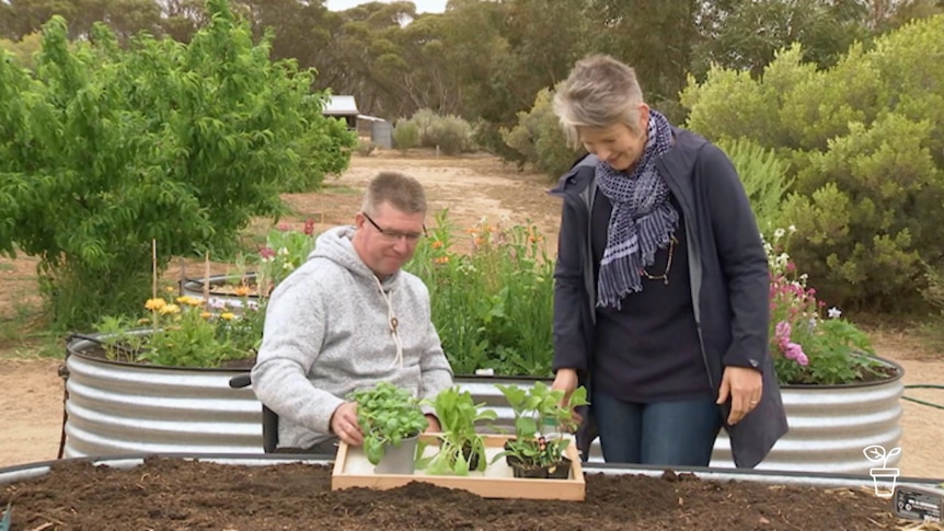 Man in wheelchair planting in raised vegie bed with woman watching