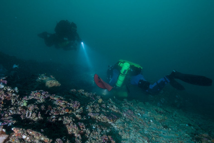 The sea stacks are located 6 kilometres offshore