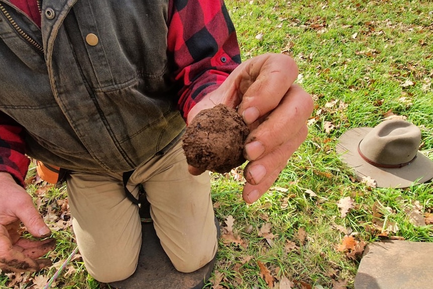 A man holding a truffle