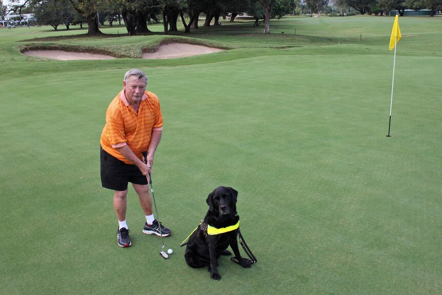 A Man gets ready to putt on a golf green while a black guide dog sits next to him.