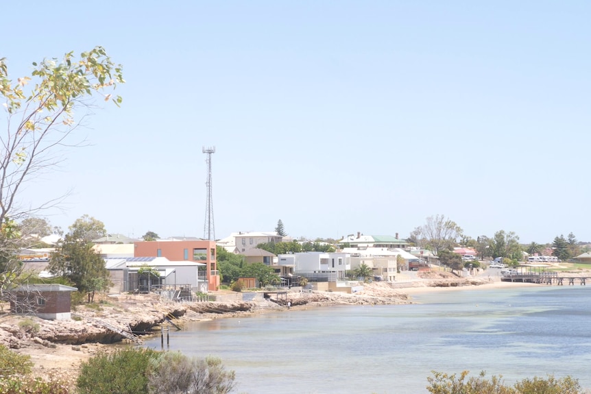 View of coastal towne from clifftop, looking at foreshore houses and town jetty.,